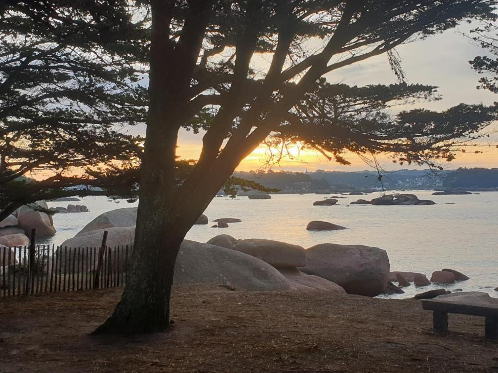 Maison Neuve Au Calme Pleumeur-Bodou Esterno foto